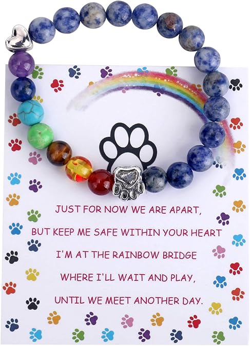 Bracelet Mémorial Pont Arc-en-Ciel – Cadeau de Perles 7 Chakras pour la Perte d'Animal
