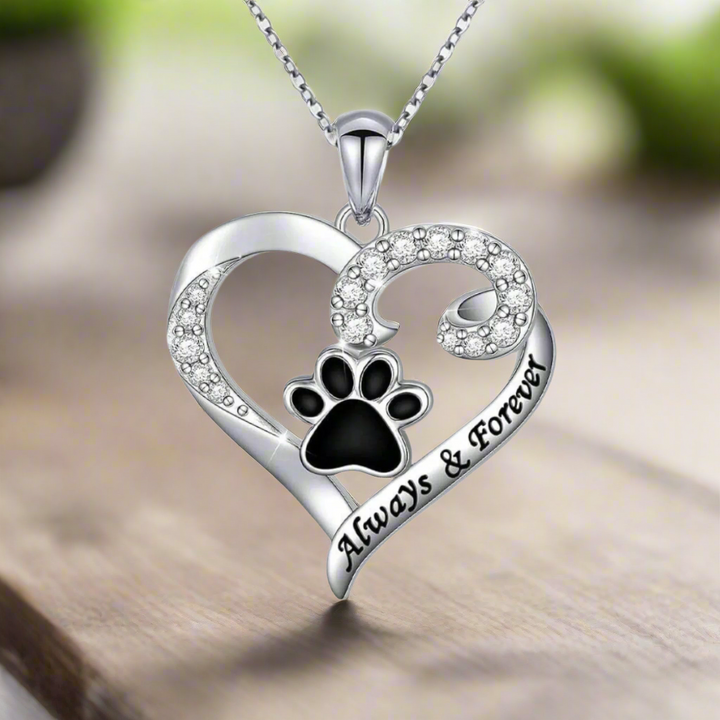 Collier en forme de patte de chien – Design en cœur en acier inoxydable avec zirconium