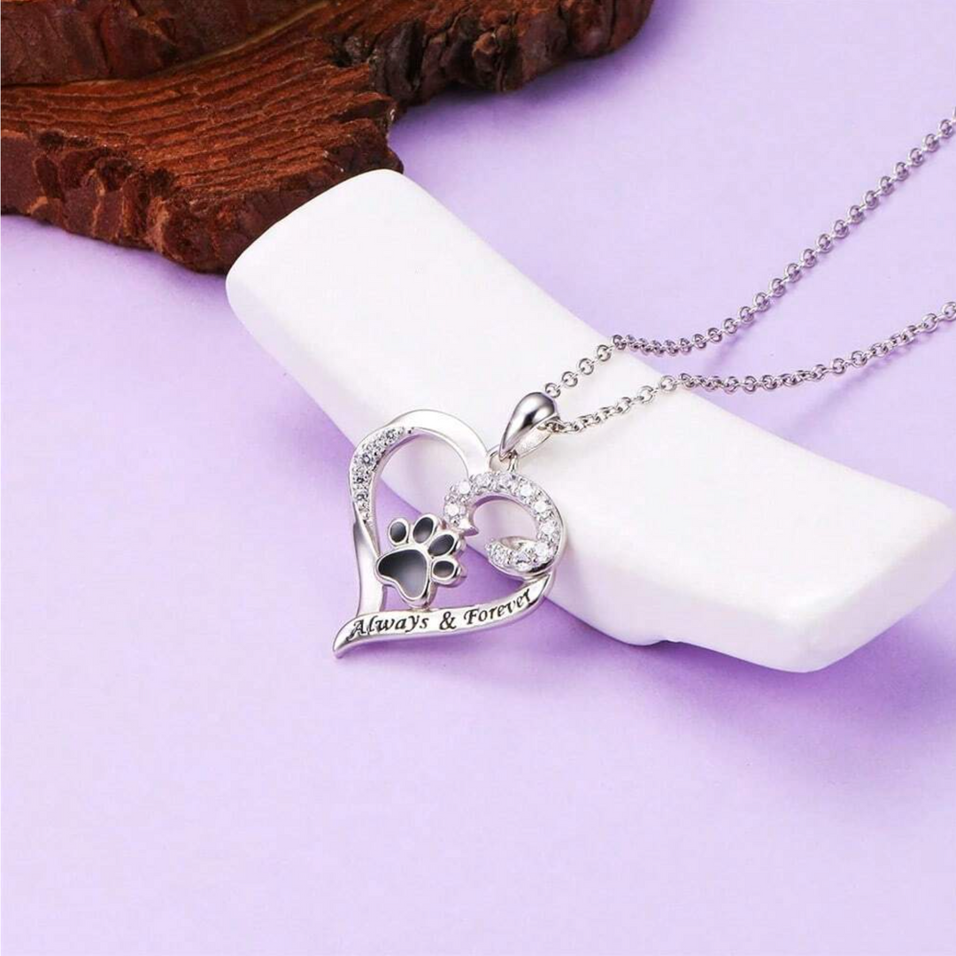 Collier en forme de patte de chien – Design en cœur en acier inoxydable avec zirconium