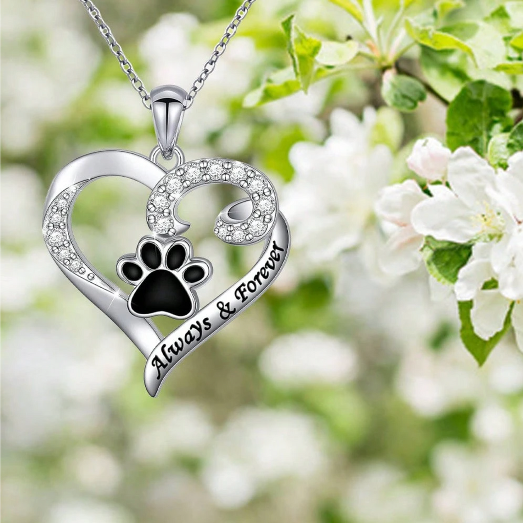 Collier en forme de patte de chien – Design en cœur en acier inoxydable avec zirconium
