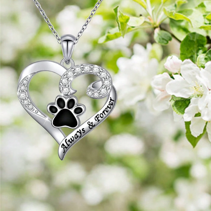 Collier Patte de Chien – Design Cœur en Acier Inoxydable avec Zirconia