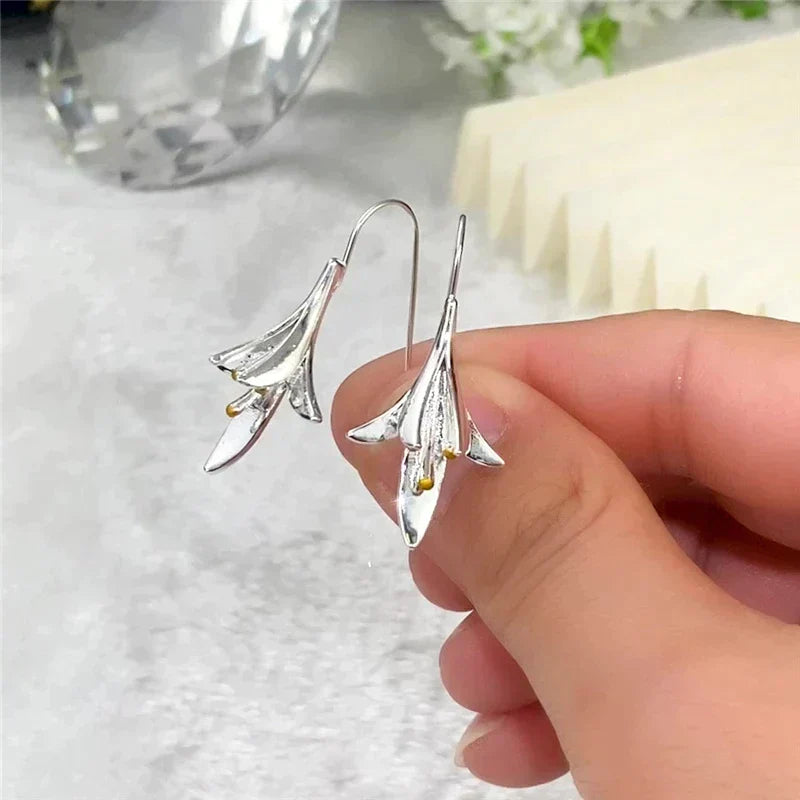 Boucles d'oreilles en argent