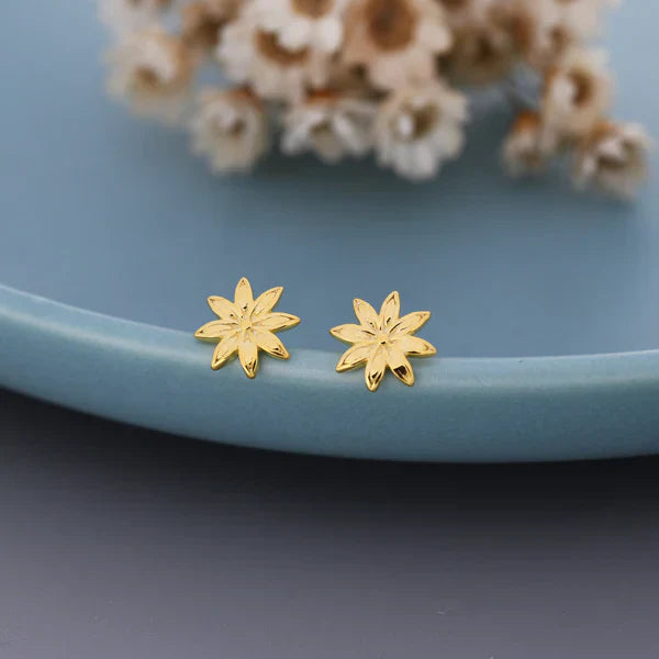 Boucles d'oreilles en étoile de badiane